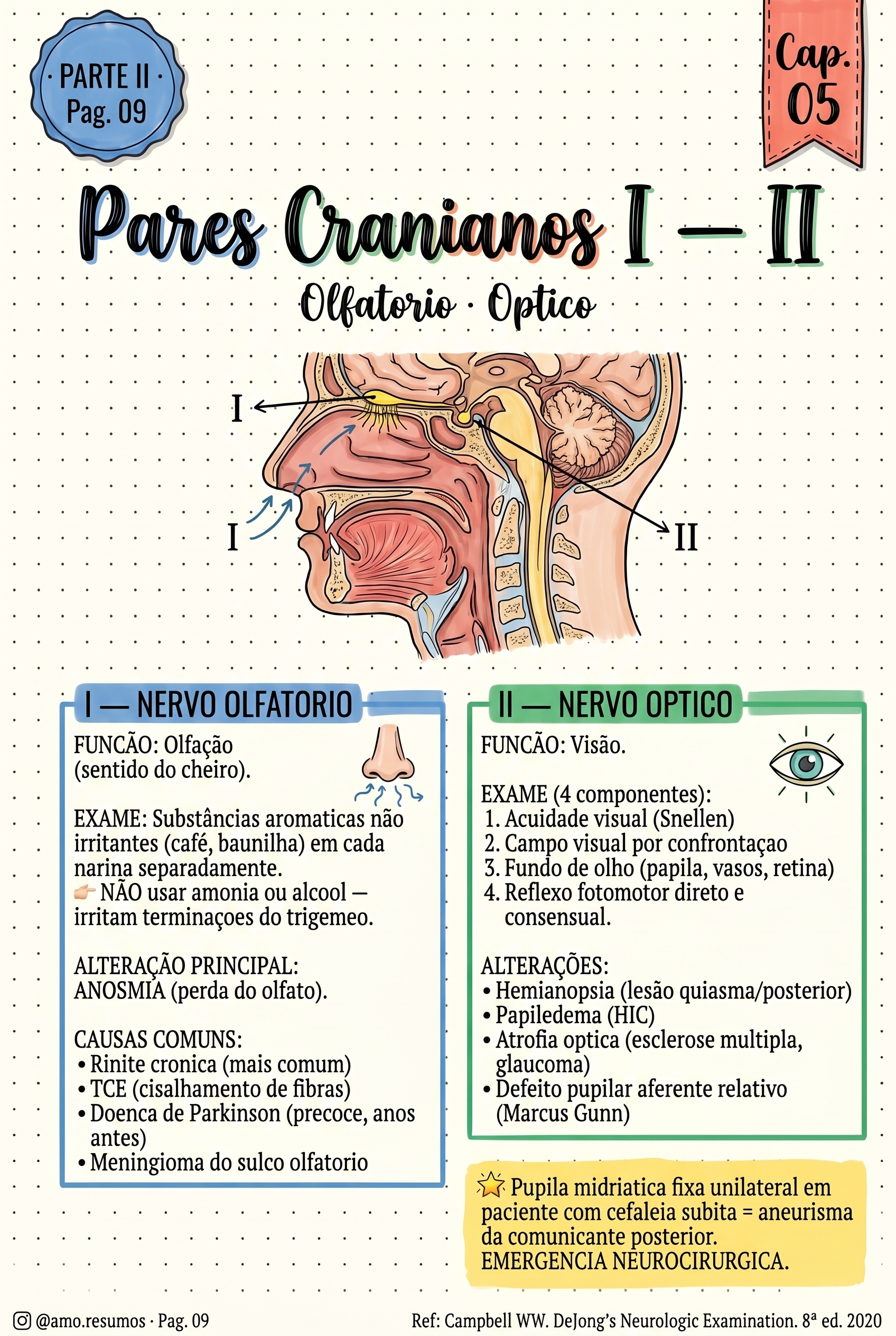 Par I e II — olfatório e óptico