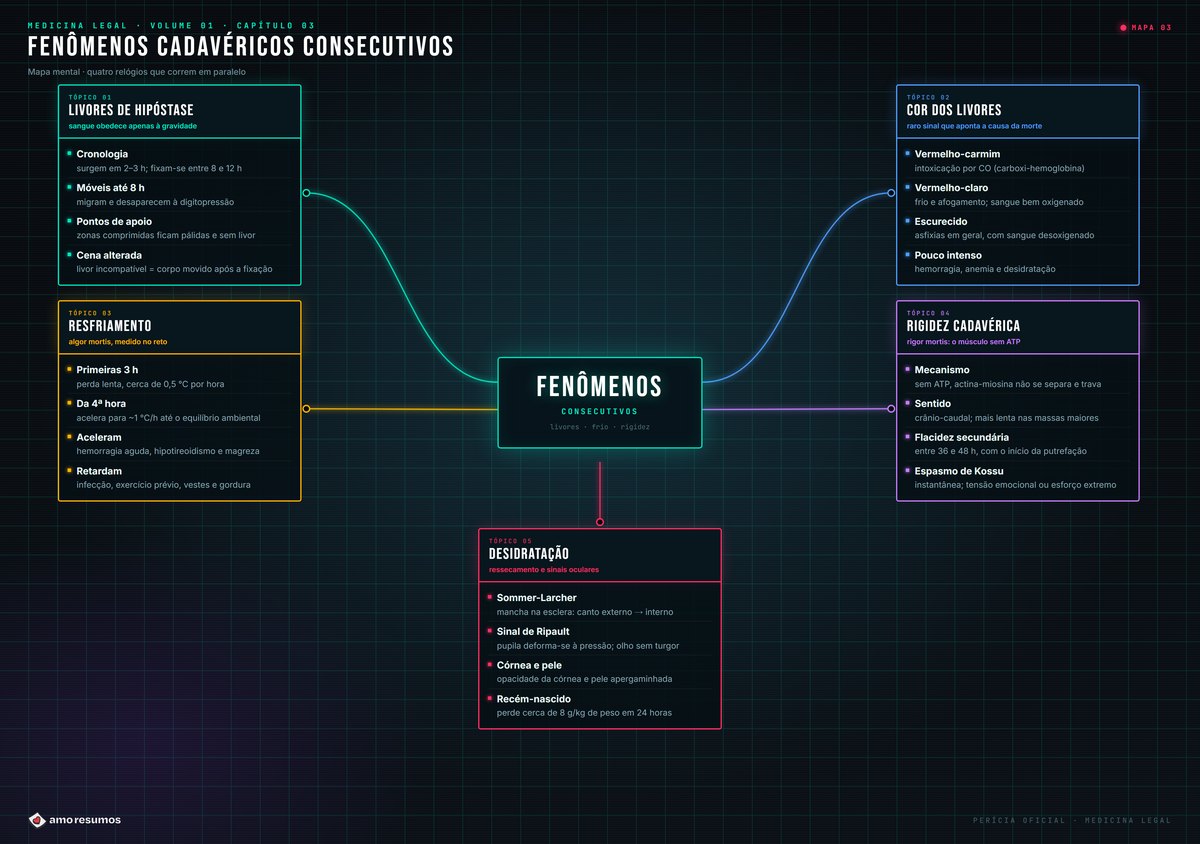 Mapa mental de fenômenos cadavéricos consecutivos
