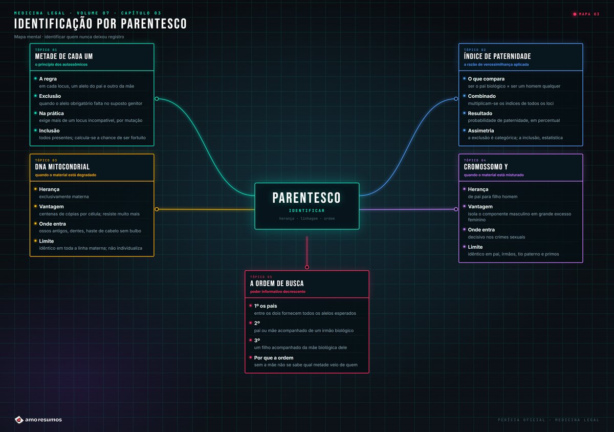 Mapa mental de identificação por parentesco