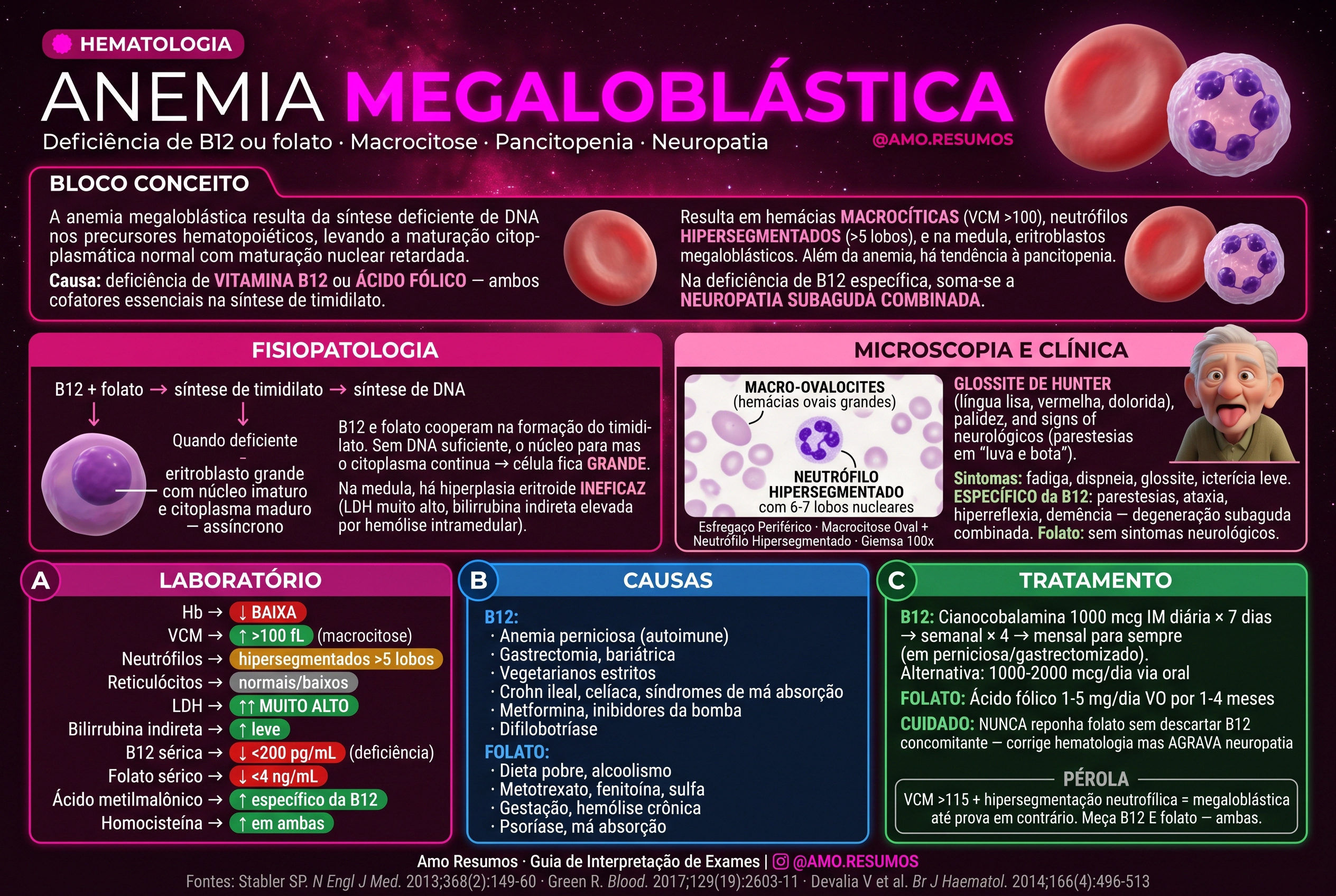 Anemia Megaloblástica