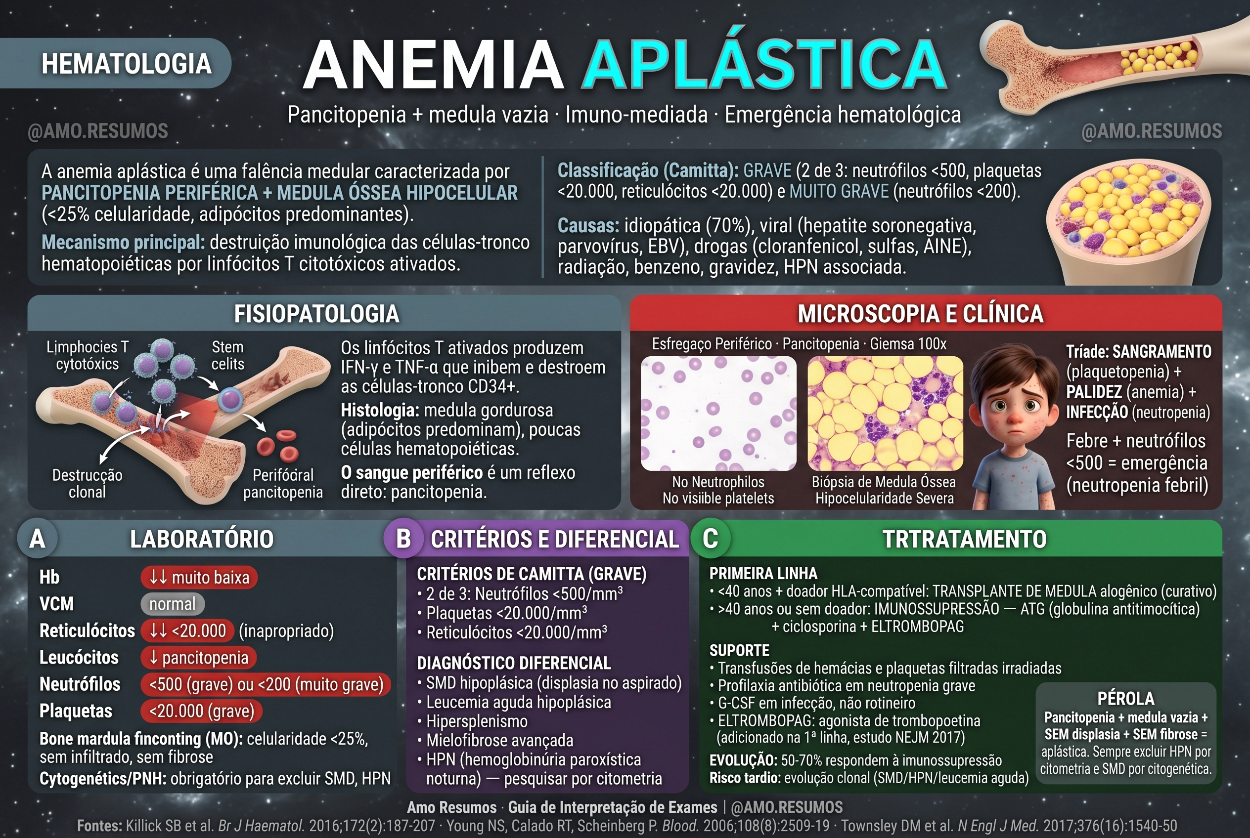Anemia Aplástica