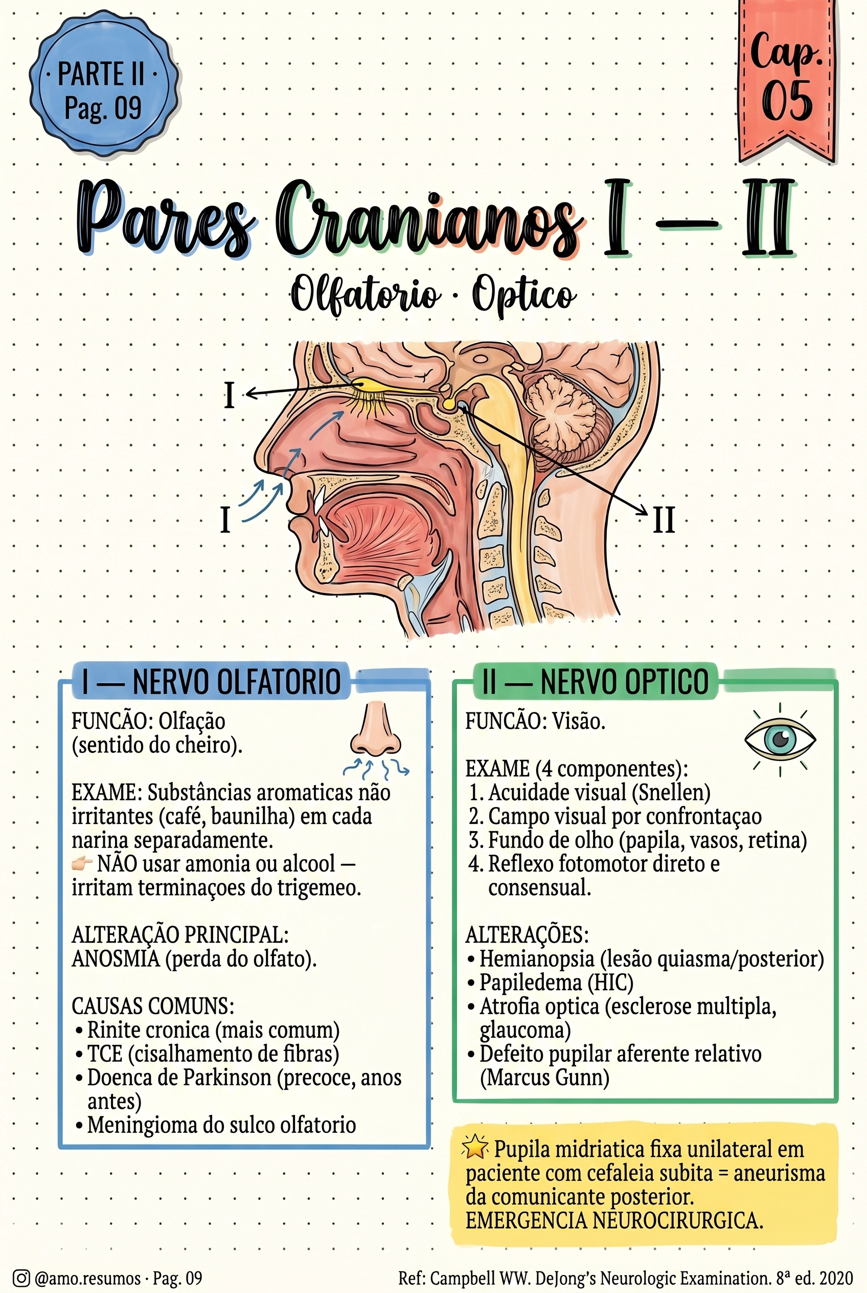Par I e II — olfatório e óptico