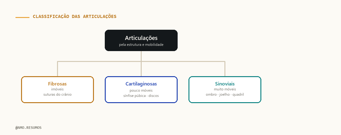 Esquema — Tipos de Articulações