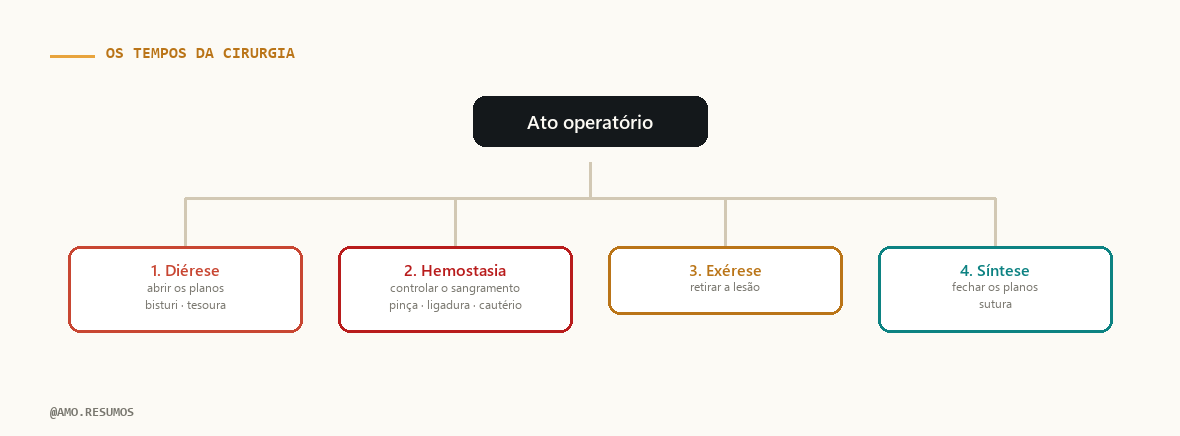 Esquema — Tempos Cirúrgicos