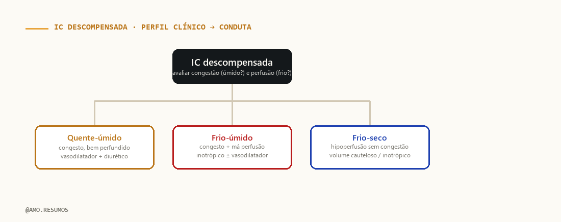 Esquema de conduta — IC Descompensada