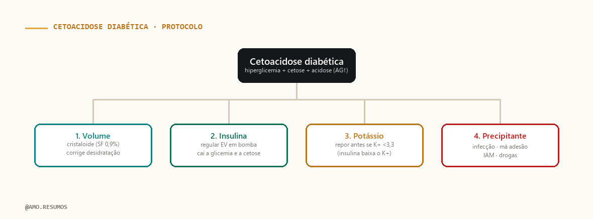Esquema de conduta — Cetoacidose Diabética