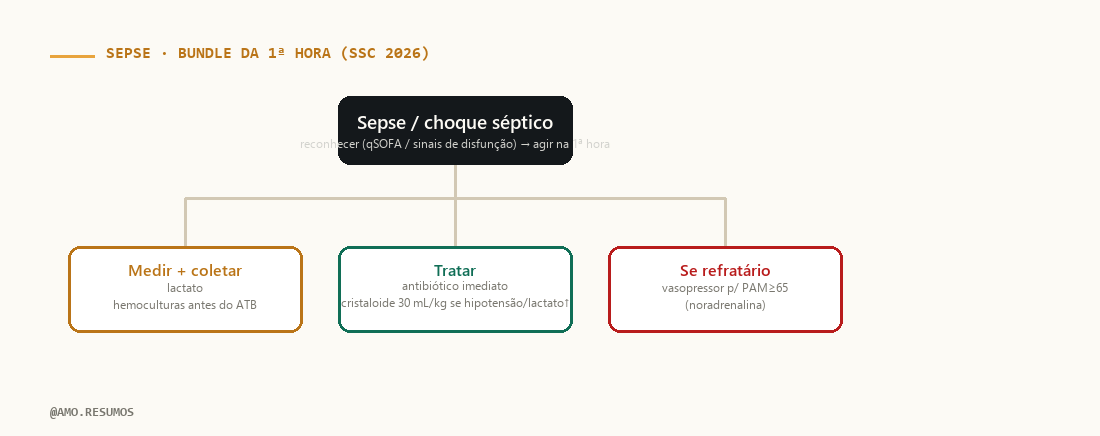 Esquema de conduta — Sepse: Bundle da 1ª Hora