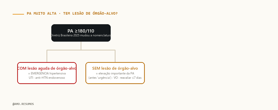 Esquema de conduta — Emergência Hipertensiva