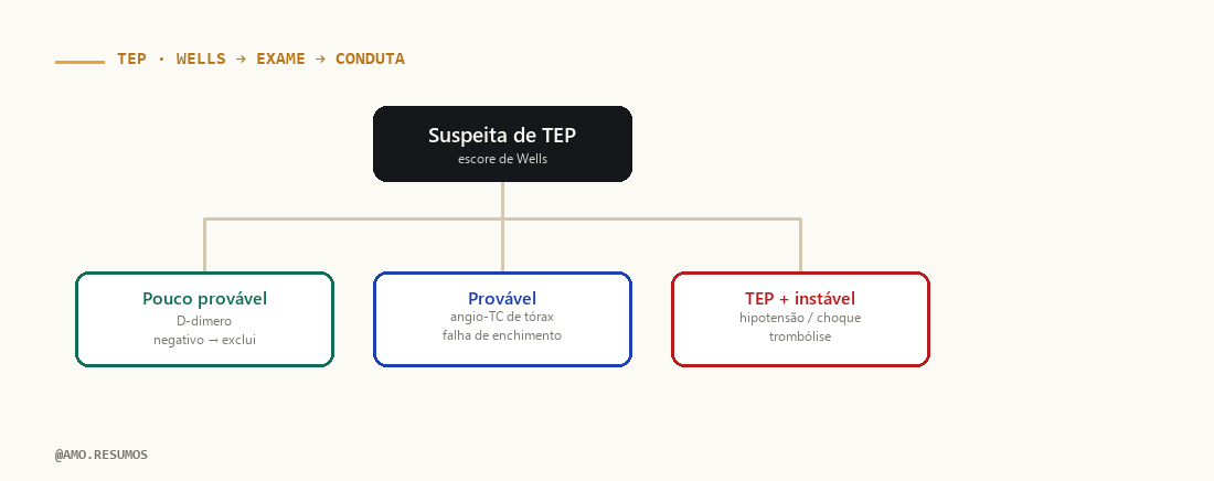 Esquema de conduta — TEP