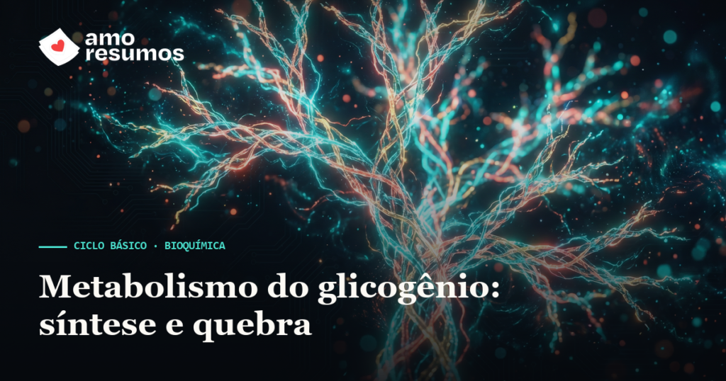 Metabolismo do glicogênio: síntese e quebra — Amo Resumos