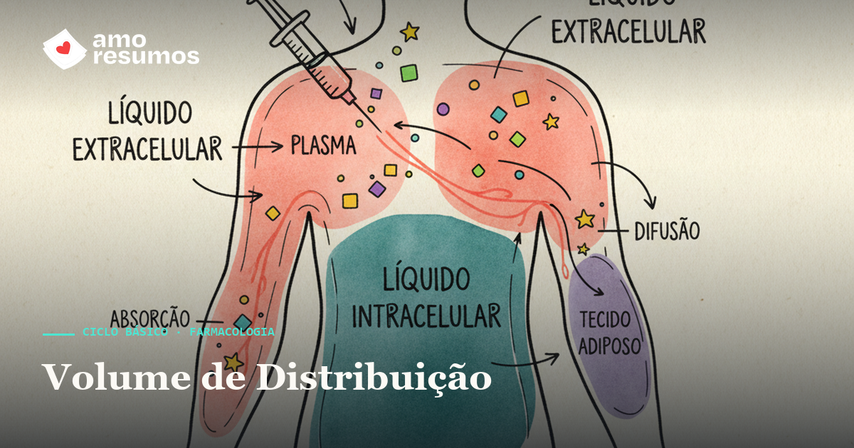 Volume de distribuição de fármacos — ilustração doodle — Amo Resumos