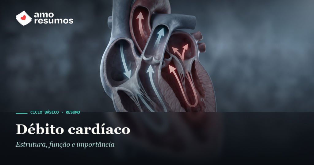 Débito cardíaco — ilustração — Amo Resumos