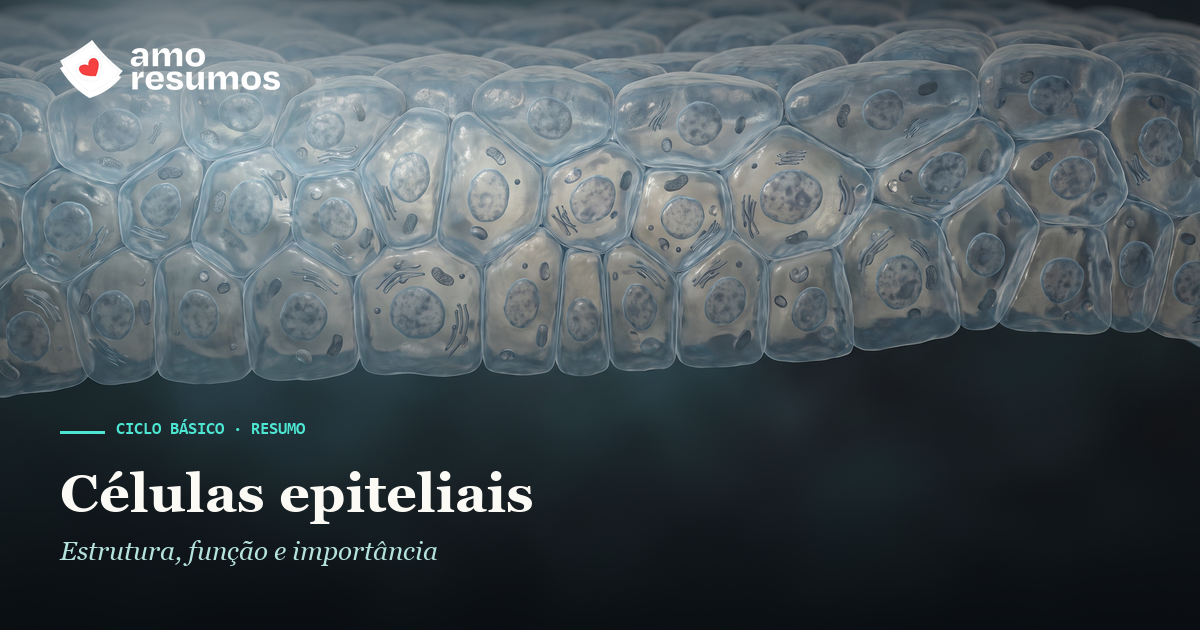 Células epiteliais — ilustração — Amo Resumos