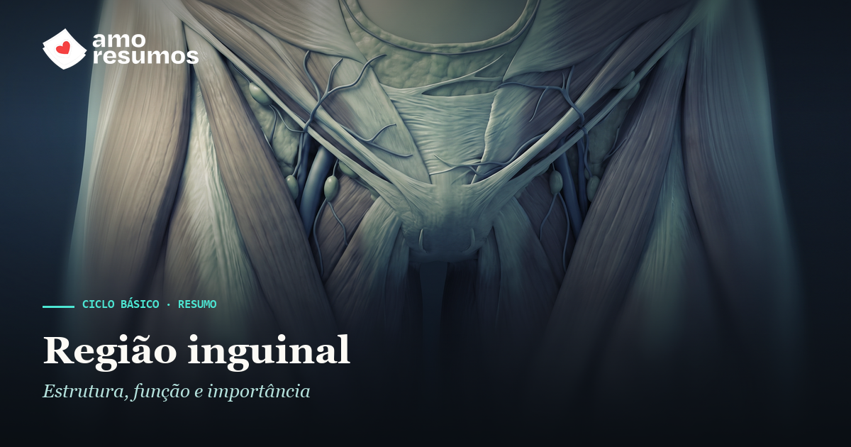 Região inguinal — ilustração — Amo Resumos