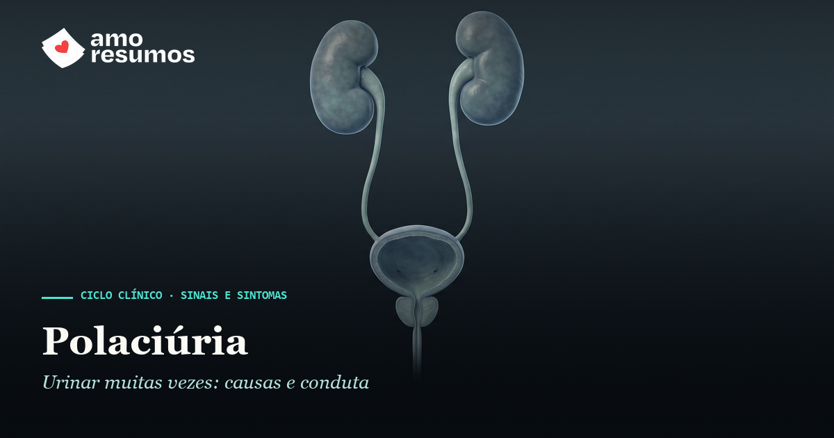 Polaciúria: aumento da frequência urinária — ilustração — Amo Resumos