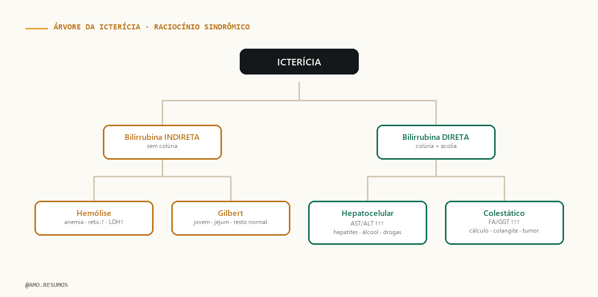 Árvore de raciocínio da icterícia: bilirrubina indireta × direta, hepatocelular × colestático