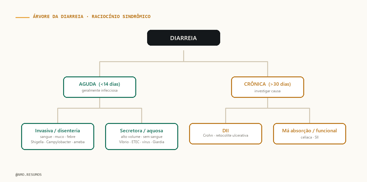 Esquema de raciocínio sindrômico — Síndrome Diarreica