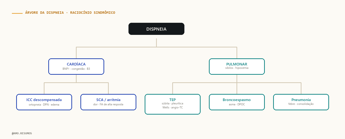 Esquema de raciocínio sindrômico — Síndrome Dispneica