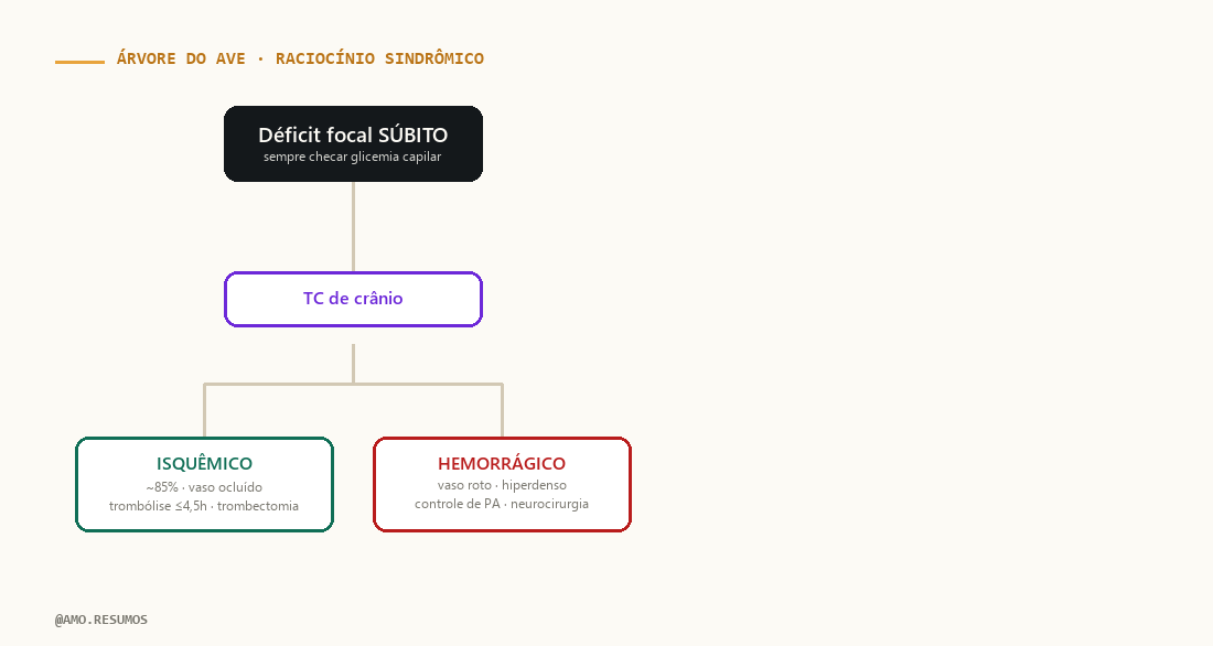 Esquema de raciocínio sindrômico — AVE