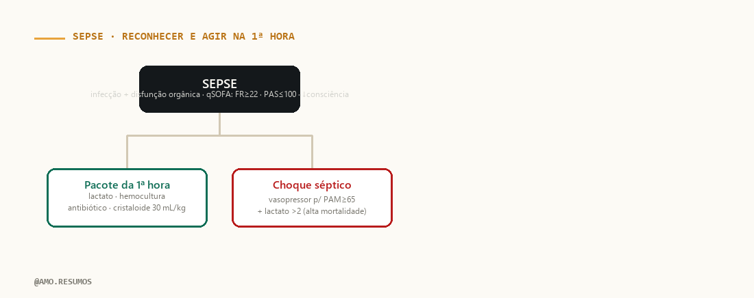 Esquema de raciocínio sindrômico — Sepse e Bacterianas