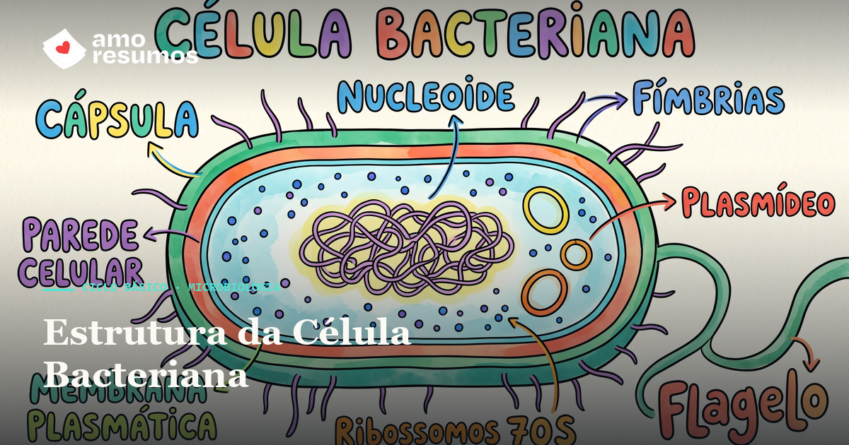 Estrutura da célula bacteriana — ilustração hand-draw colorida — Amo Resumos