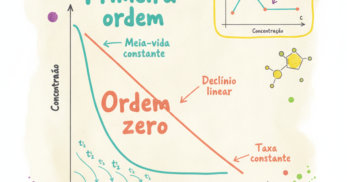 Cinética de primeira ordem versus ordem zero e estado de equilíbrio — Amo Resumos