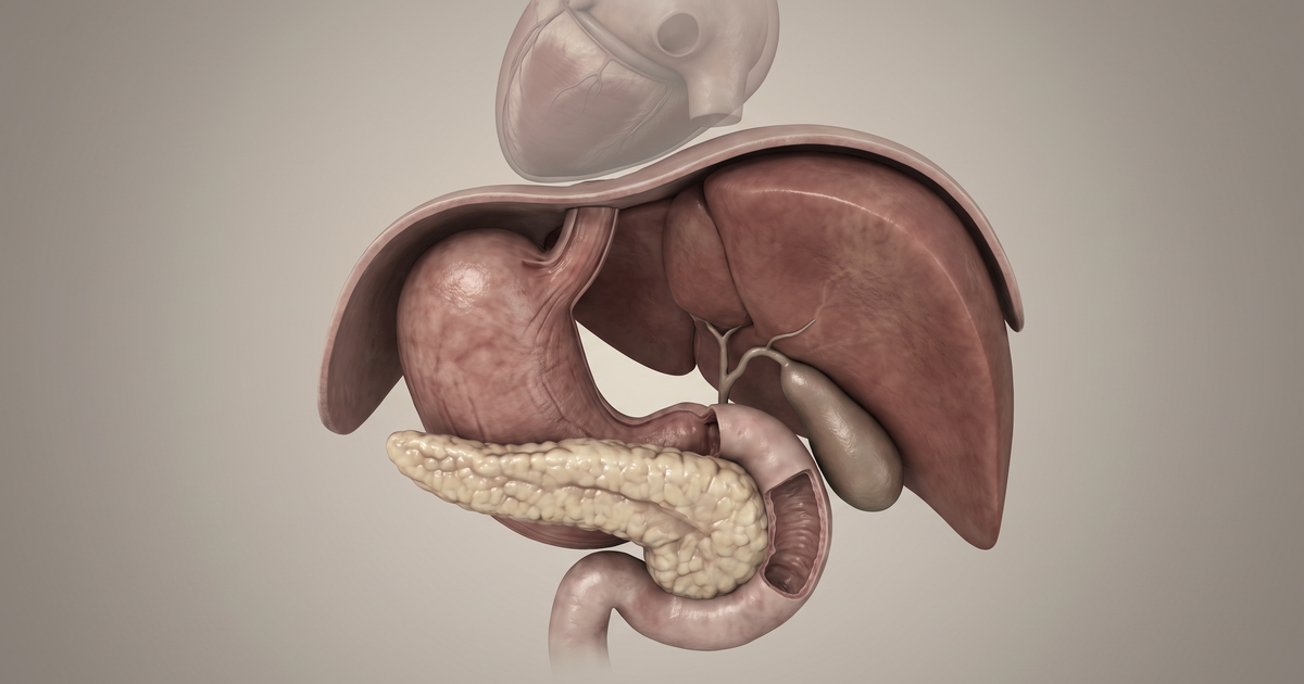 Causas de epigastralgia — Amo Resumos