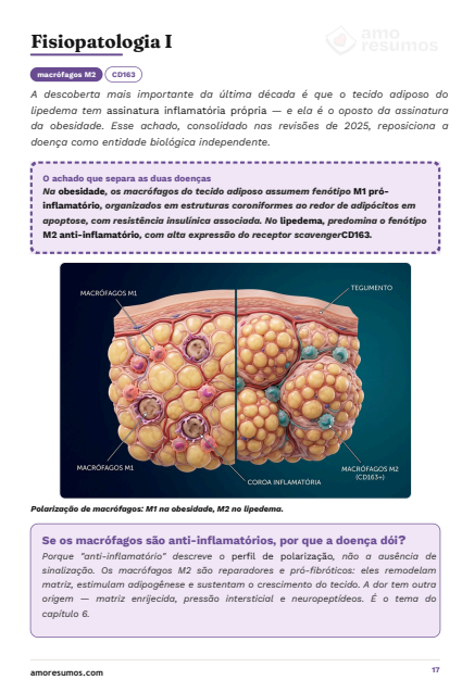Fisiopatologia: macrófagos M1 × M2 (CD163+)