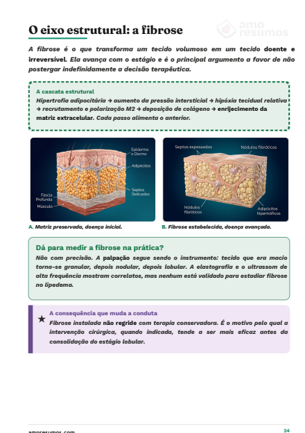 O eixo estrutural: a fibrose