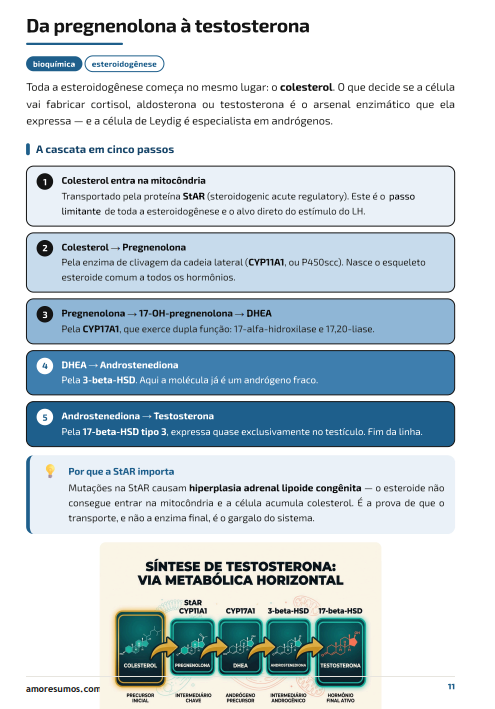As dosagens que fecham o diagnóstico