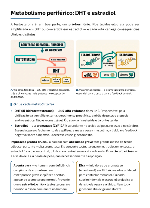 Escolha da formulação por perfil