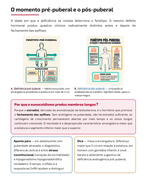 Fertilidade, hCG e SERMs