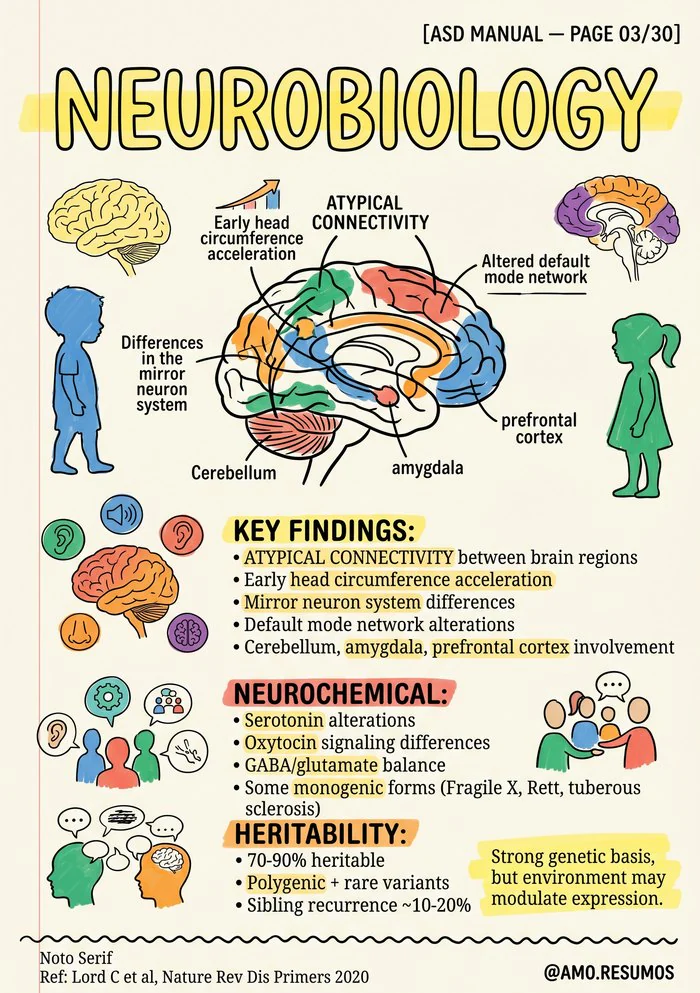 Manual page on autism neurobiology