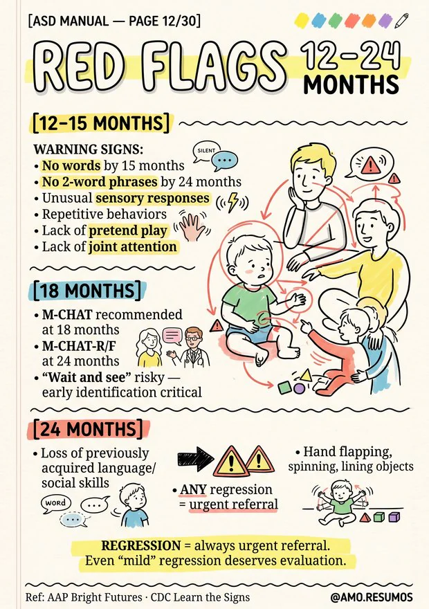 Manual page: red flags from 12 to 24 months