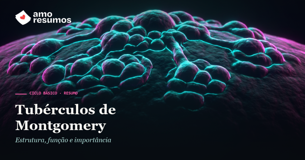 Tubérculos de Montgomery — ilustração — Amo Resumos