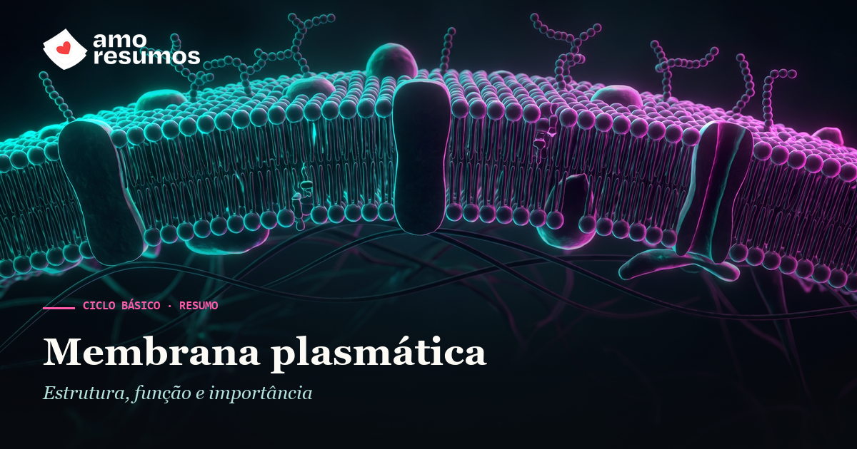 Membrana plasmática — ilustração — Amo Resumos