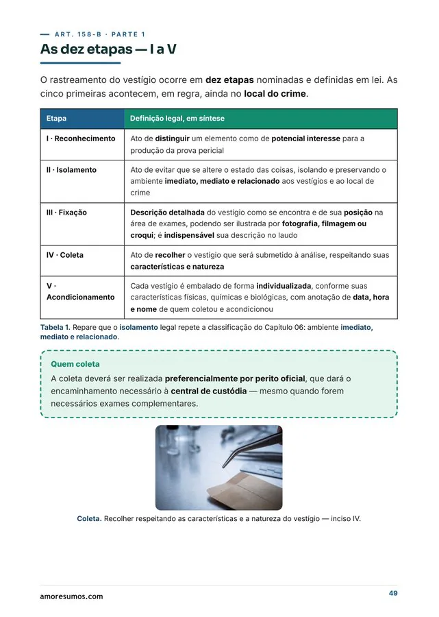 Página: as dez etapas da cadeia de custódia