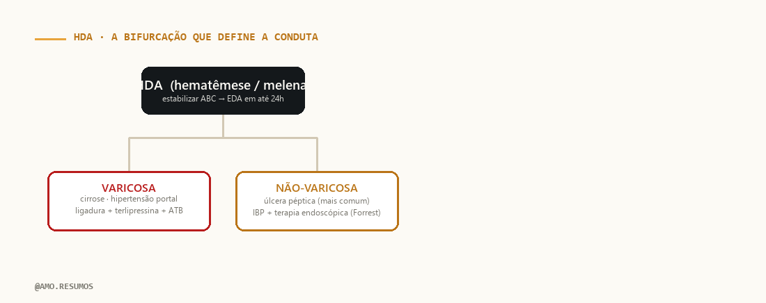 Árvore de raciocínio sindrômico — Hemorragia Digestiva Alta no ENAMED