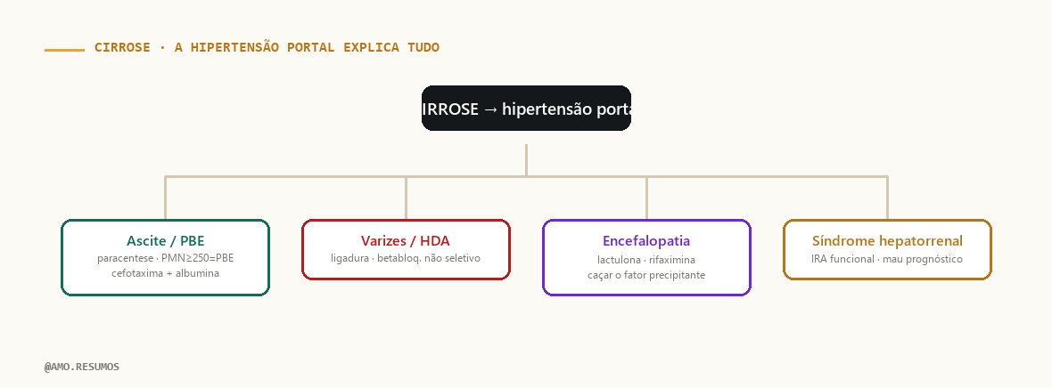 Árvore de raciocínio sindrômico — Cirrose no ENAMED