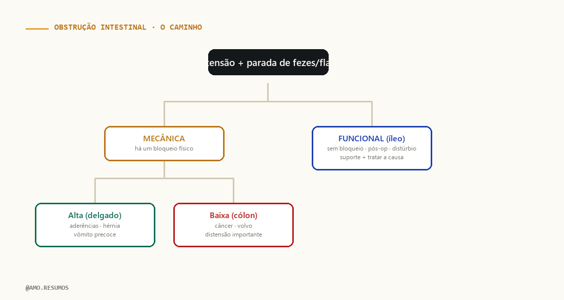 Árvore de raciocínio sindrômico — Obstrução Intestinal no ENAMED