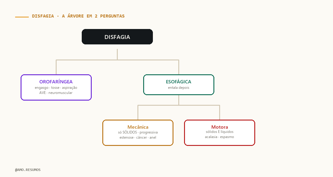 Árvore de raciocínio sindrômico — Disfagia no ENAMED