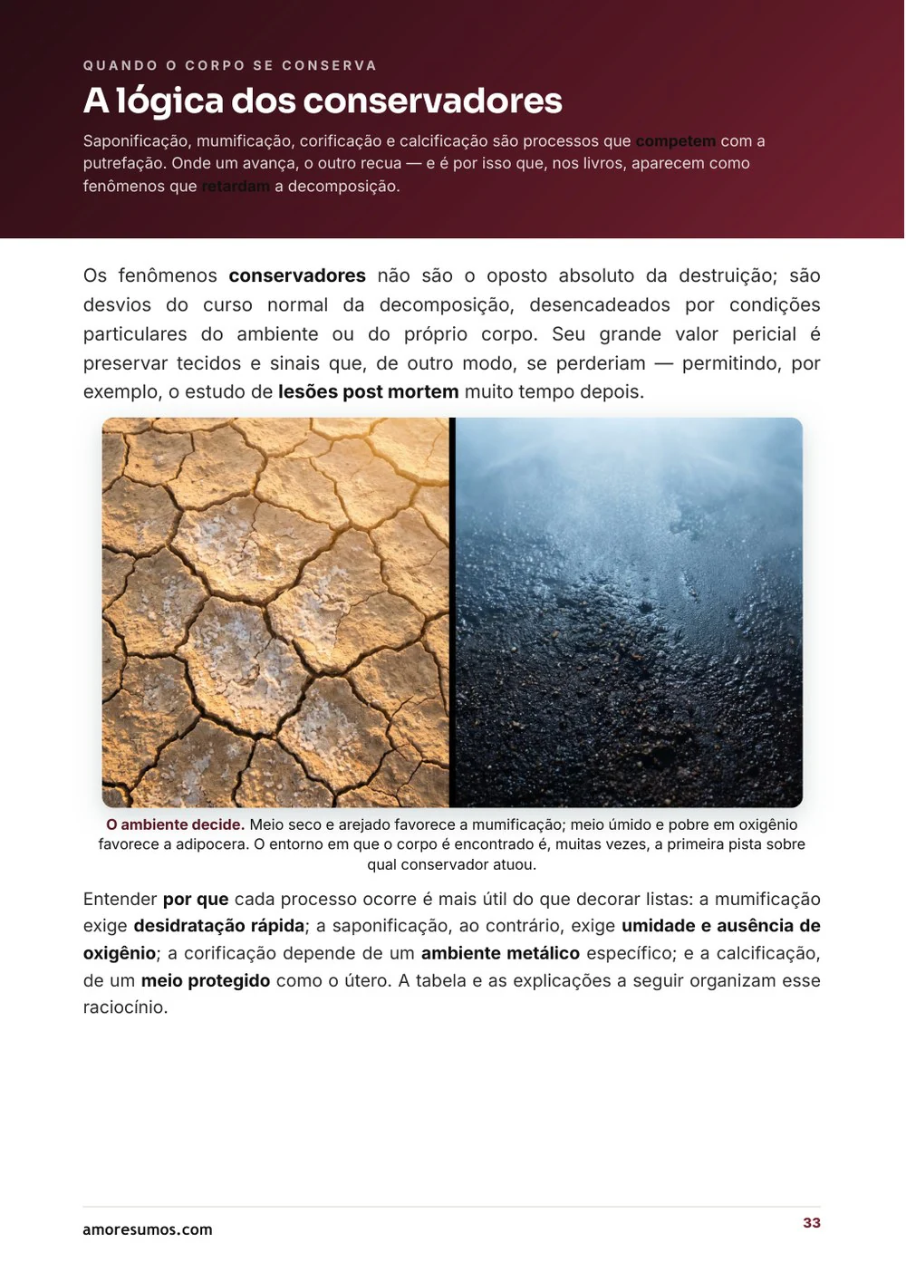 Página ilustrada — fenômenos cadavéricos