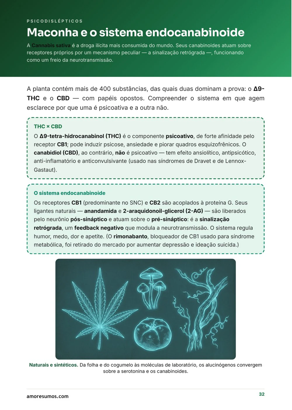 Página ilustrada — toxicologia forense