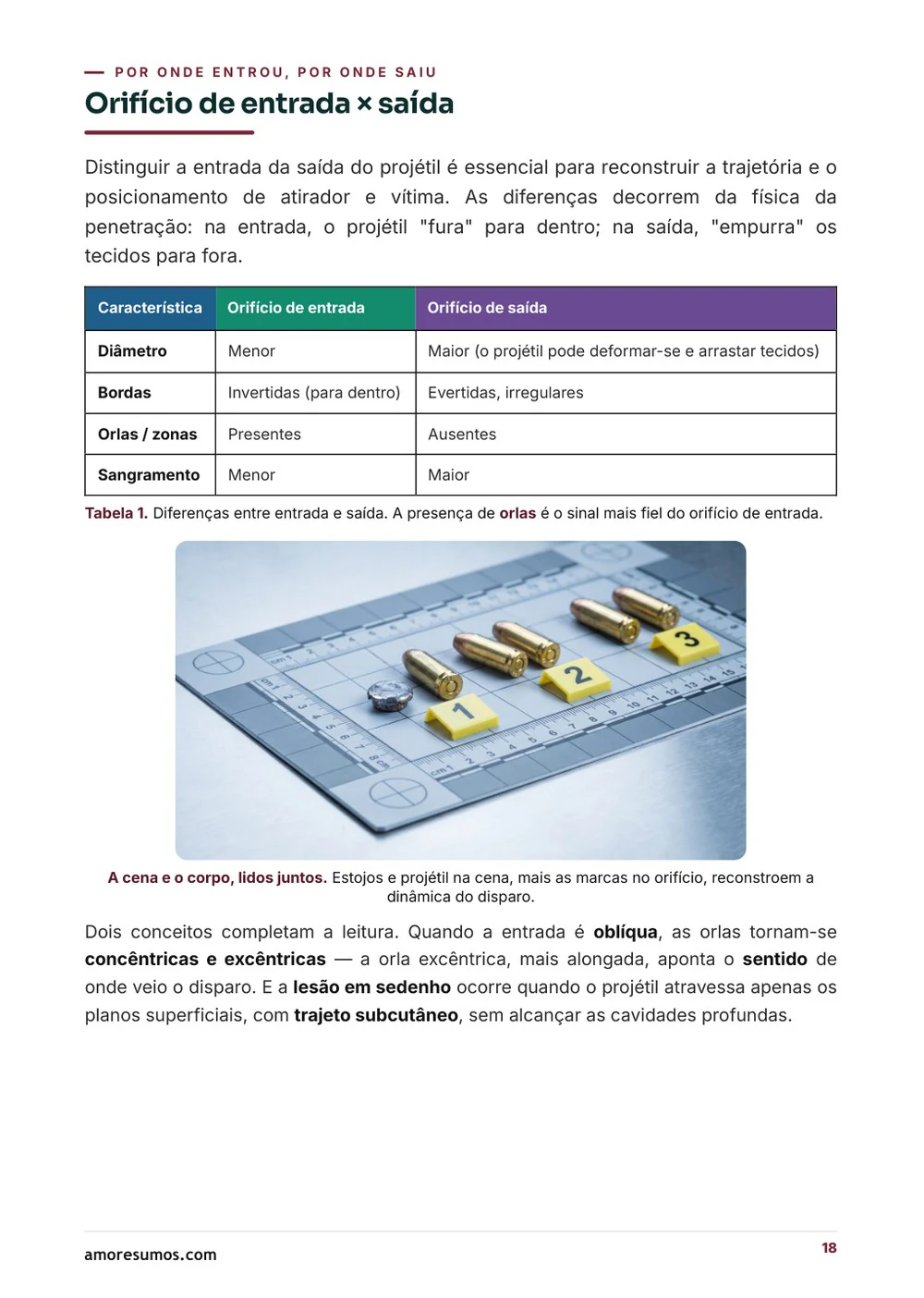 Página ilustrada — lesões por instrumento